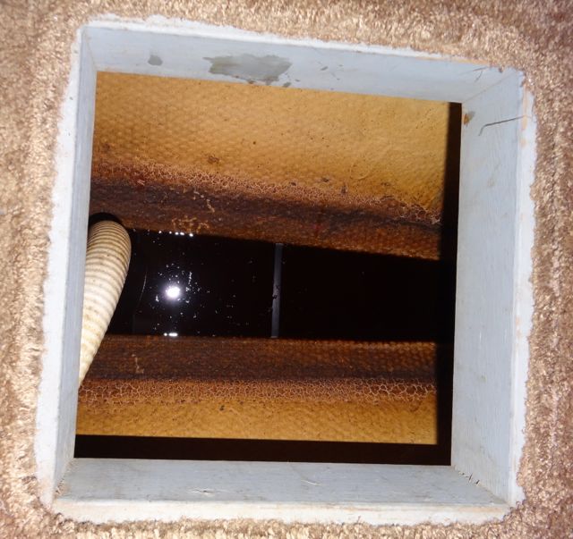 Oil in Bilge Check your bilge